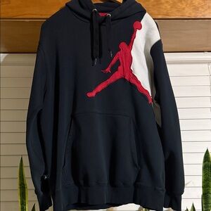 Jordan Jumbo Jumpman Colorblock Hoodie - Large